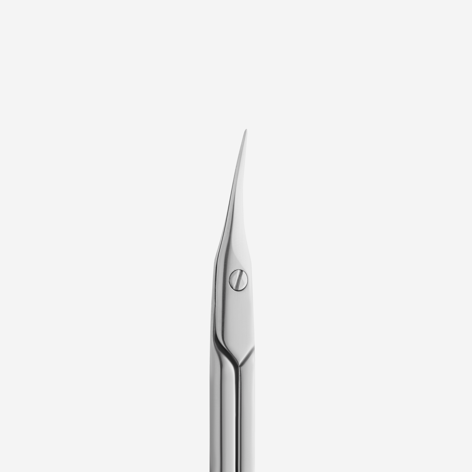 STALEKS Ciseaux Expert 50/1 cuticule manucure russe